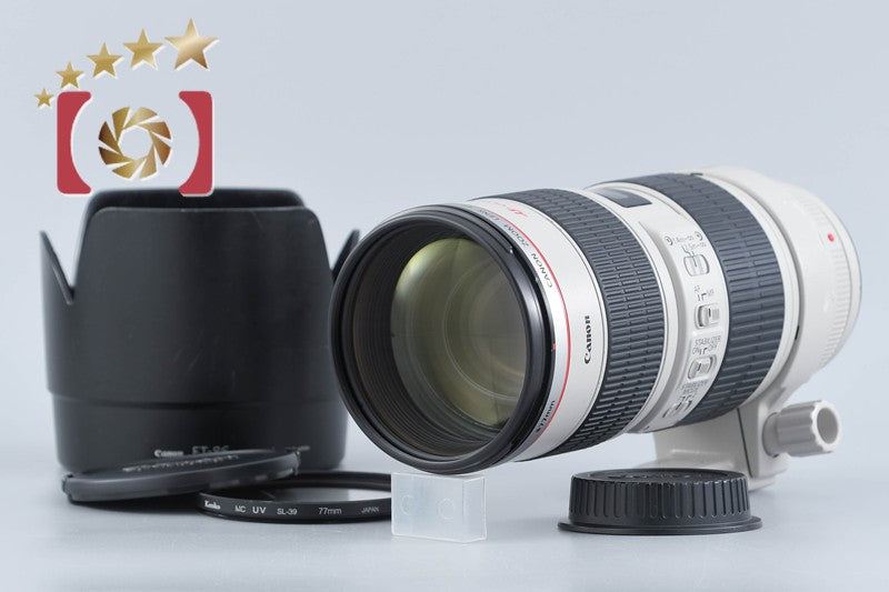 Canon EF 70-200mm f/2.8 L IS USM
