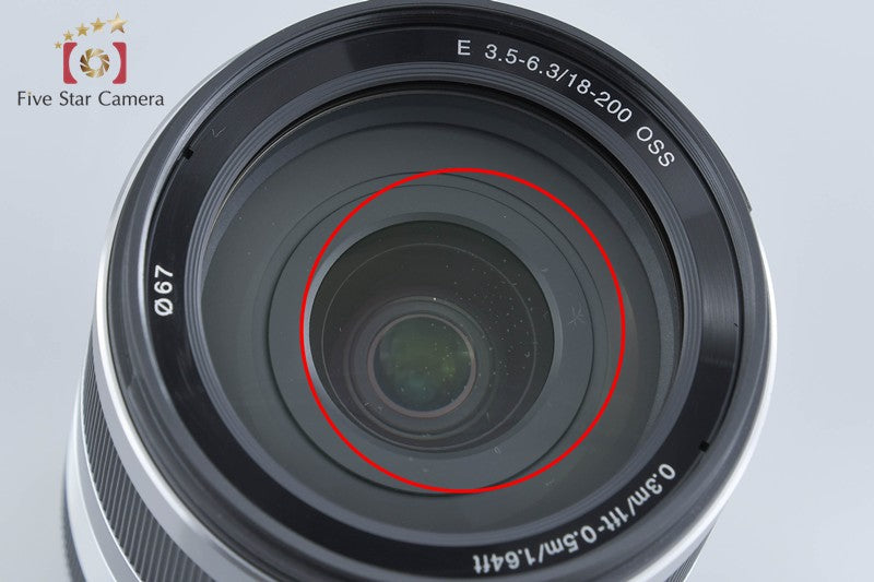 SONY E 18-200mm f/3.5-6.3 OSS SEL18200 Silver