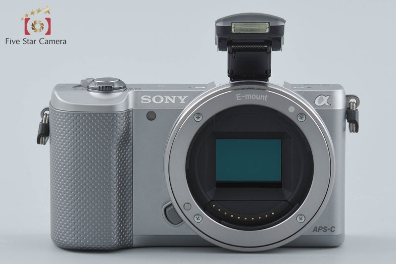 Sony Alpha α5000 ILCE-5000 Silver 20.1 MP 16-50 Lens [Multiple Languages]