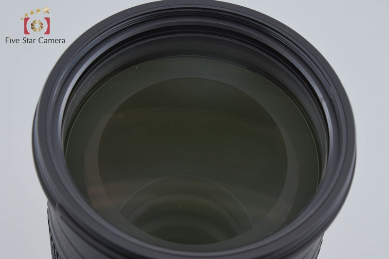 Nikon AF-S NIKKOR 200-500mm f/5.6 E ED VR