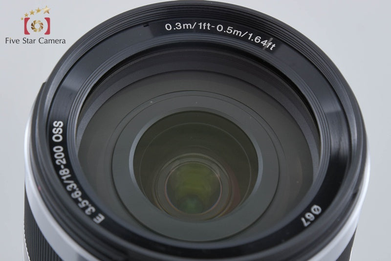 SONY E 18-200mm f/3.5-6.3 OSS SEL18200 Silver