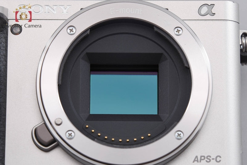 Sony Alpha α6000 ILCE-6000 Silver 24.3 MP Digital Camera [Multiple Languages]