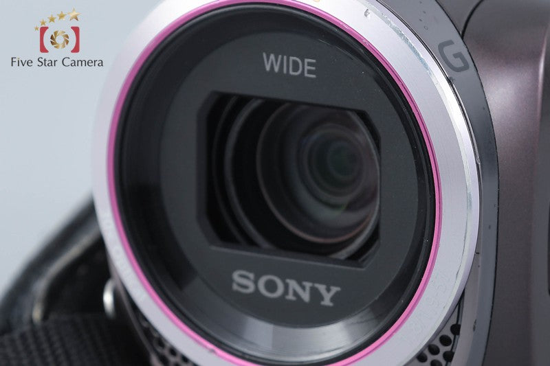 SONY Handycam HDR-CX420 Brown Digital Video Camera [Japanese Language Only]