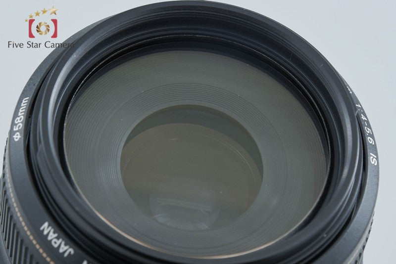 Canon EF 75-300mm f/4-5.6 IS USM