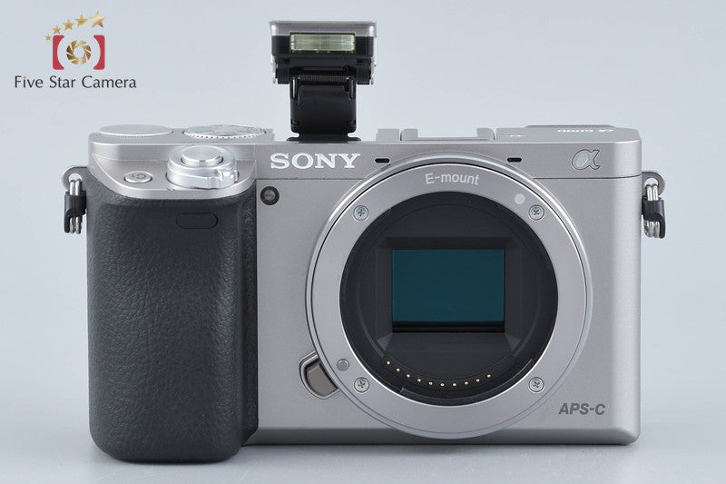 Sony Alpha α6000 ILCE-6000 Silver 16-50 55-210 Lenses [Multiple Languages]