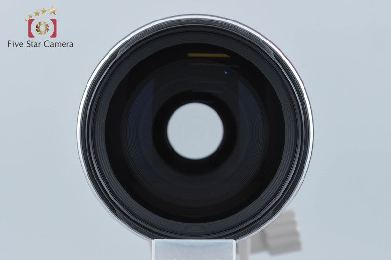 Canon EF 100-400mm f/4.5-5.6 L IS USM