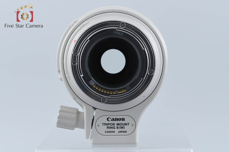 Canon EF 100-400mm f/4.5-5.6 L IS USM
