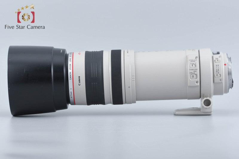 Canon EF 100-400mm f/4.5-5.6 L IS USM