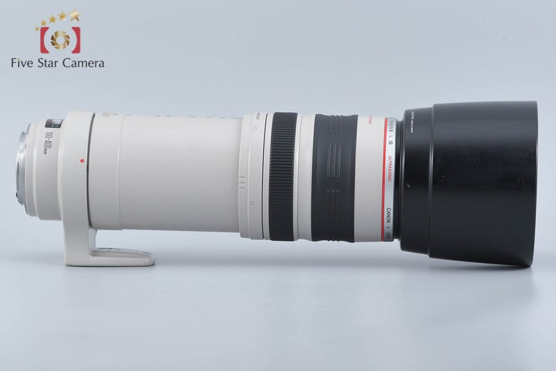 Canon EF 100-400mm f/4.5-5.6 L IS USM
