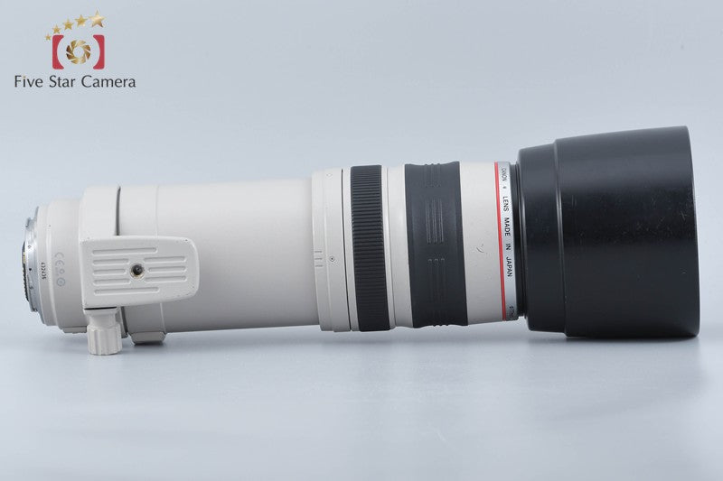 Canon EF 100-400mm f/4.5-5.6 L IS USM