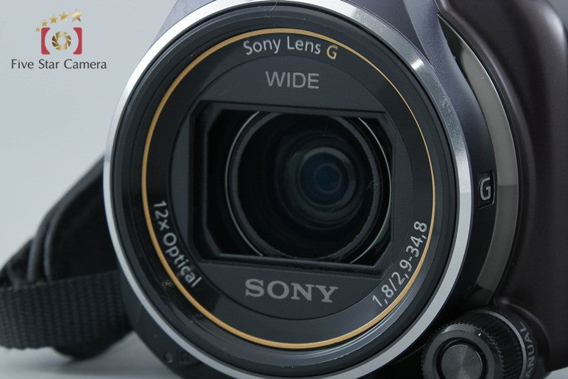 Sony Handycam HDR-PJ630V Brown Video Camera Recorder [Japanese Language Only]