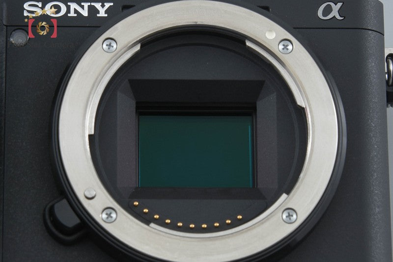 Sony α6600 ILCE-6600M 24.2MP Digital Camera 18-135 Lens [Japanese Language Only]