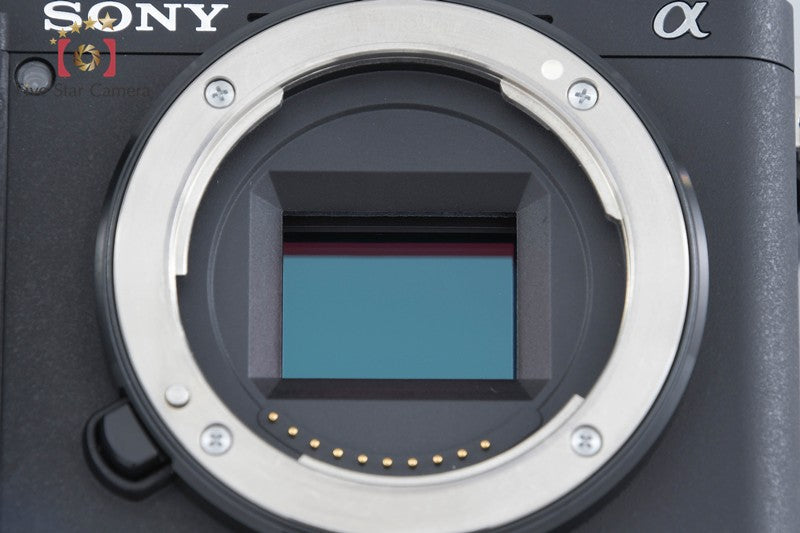 Sony α6400 ILCE-6400 Black 24.2 MP 16-50 55-210 Lenses [Japanese Language Only]