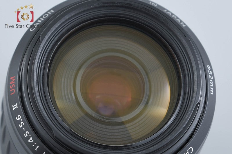 Canon EF 55-200mm f/4.5-5.6 II USM