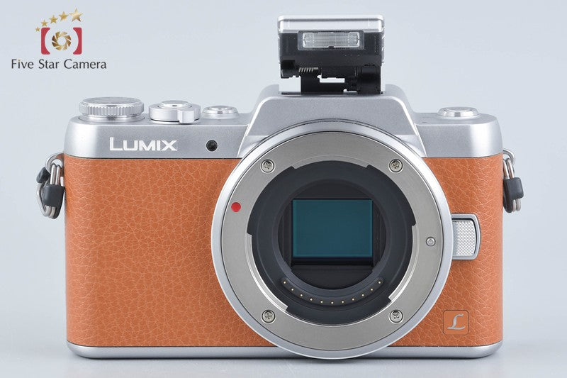 Panasonic LUMIX DMC-GF7 Brown 16.0 MP 12-32 35-100 Lens [Japanese Language Only]