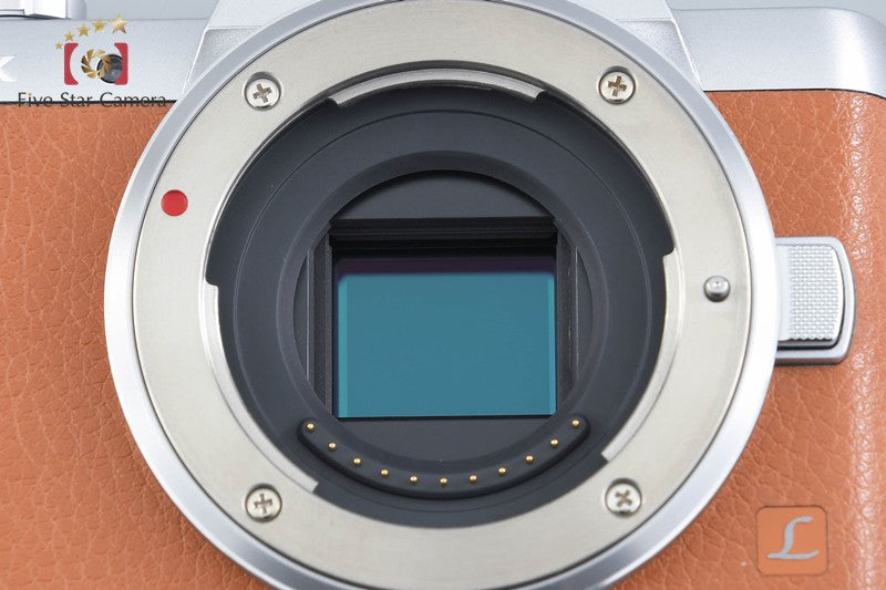 Panasonic LUMIX DMC-GF7 Brown 16.0 MP 12-32 35-100 Lens [Japanese Language Only]