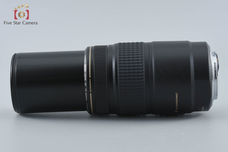 Canon EF 75-300mm f/4-5.6 IS USM