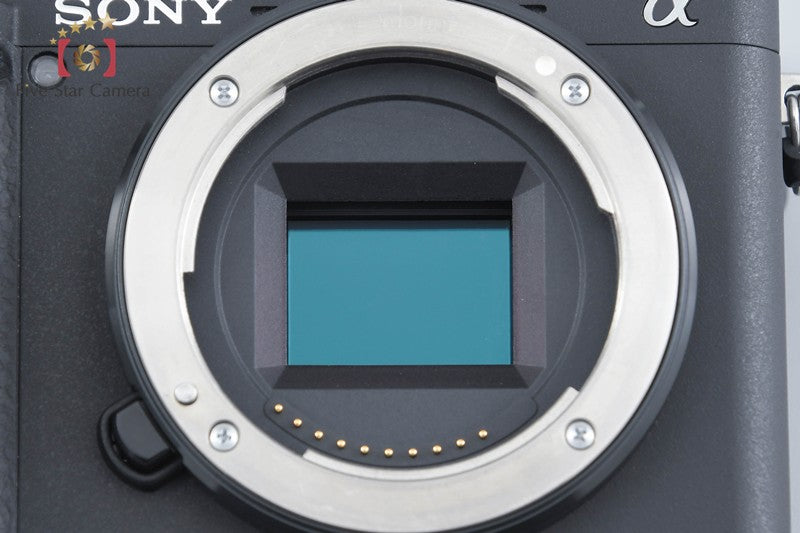 Sony α6400 ILCE-6400 Black 24.2 MP 16-50 55-210 Lenses [Japanese Language Only]