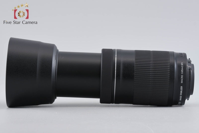 Canon EF-S 55-250mm f/4-5.6 IS STM from Japan