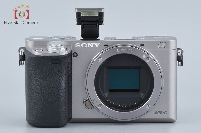 Sony Alpha α6000 ILCE-6000 Silver 24.3 MP 16-50 Lens [Multiple Languages]