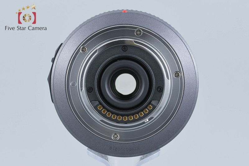 Panasonic LUMIX G VARIO 14-140mm f/4-5.8 ASPH. MEGA O.I.S H-VS014140