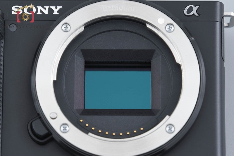 Sony α VLOGCAM ZV-E10 Black Digital Mirrorless Camera [Japanese Language Only]