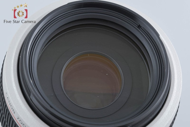 Canon EF 70-300mm f/4-5.6 L IS USM