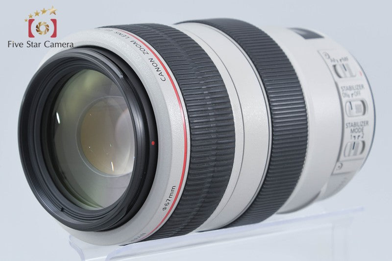 Canon EF 70-300mm f/4-5.6 L IS USM