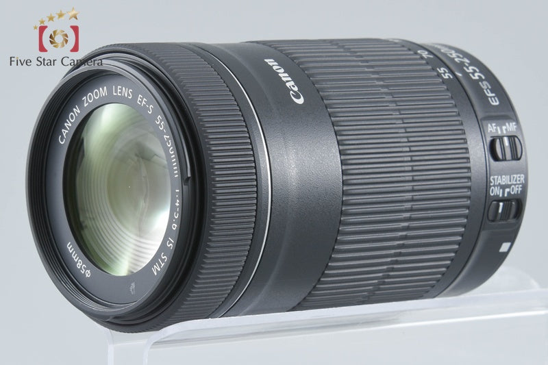 Canon EF-S 55-250mm f/4-5.6 IS STM