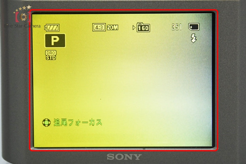 Sony Cyber-Shot DSC-W810 Silver 20.1 MP Digital Camera [Japanese Language Only]