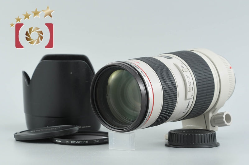 Canon EF 70-200mm f/2.8 L USM