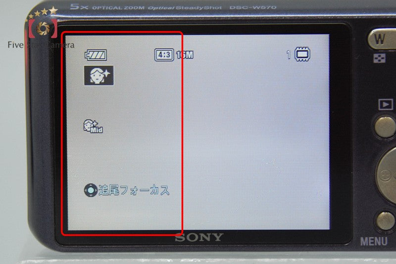 Sony Cyber-Shot DSC-W570 Violet 16.1 MP Digital Camera [Japanese Language Only]