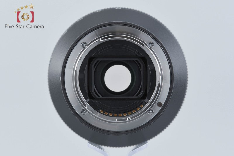 Sony FE 24-105mm f/4 G OSS SEL24105G