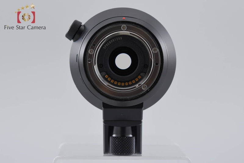 Panasonic LUMIX LEICA DG VARIO-ELMAR 100-400mm f/4-6.3 ASPH. H-RS100400