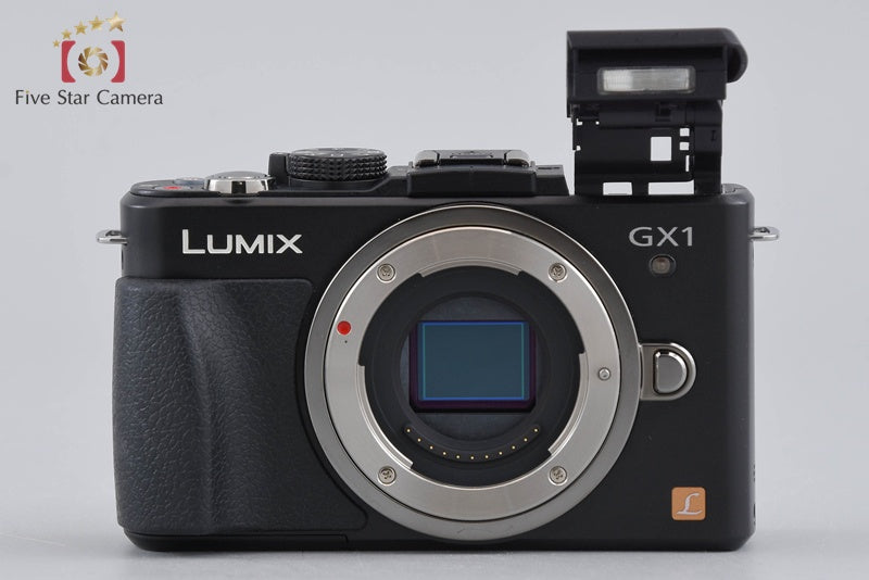 Panasonic LUMIX DMC-GX1 Esprit Black 16.0 MP 14-42 Lens [Japanese Language Only]