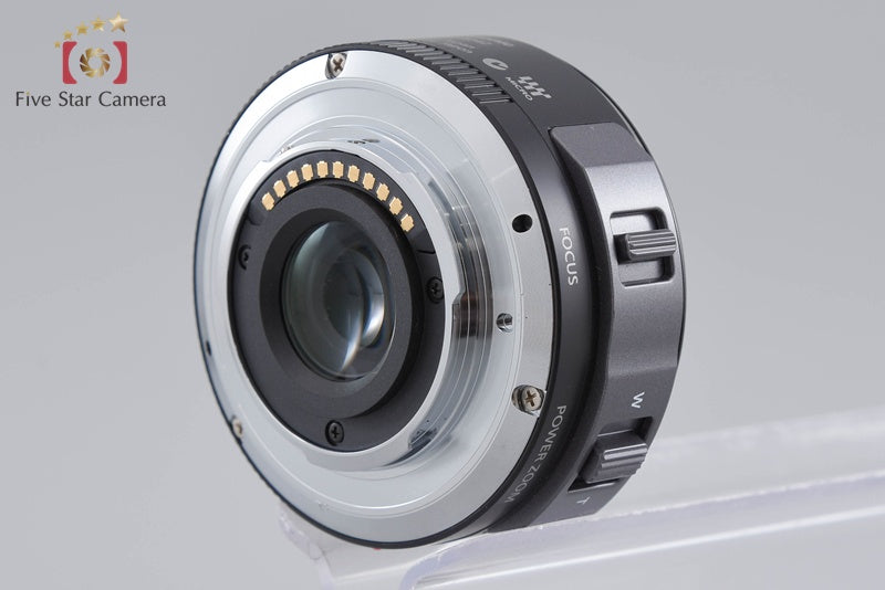 Panasonic LUMIX DMC-GX1 Esprit Black 16.0 MP 14-42 Lens [Japanese Language Only]