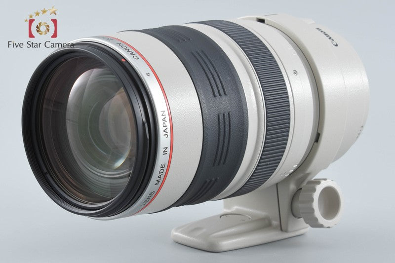 Canon EF 35-350mm f/3.5-5.6 L USM
