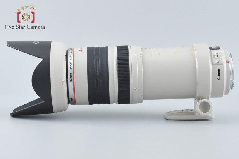 Canon EF 35-350mm f/3.5-5.6 L USM