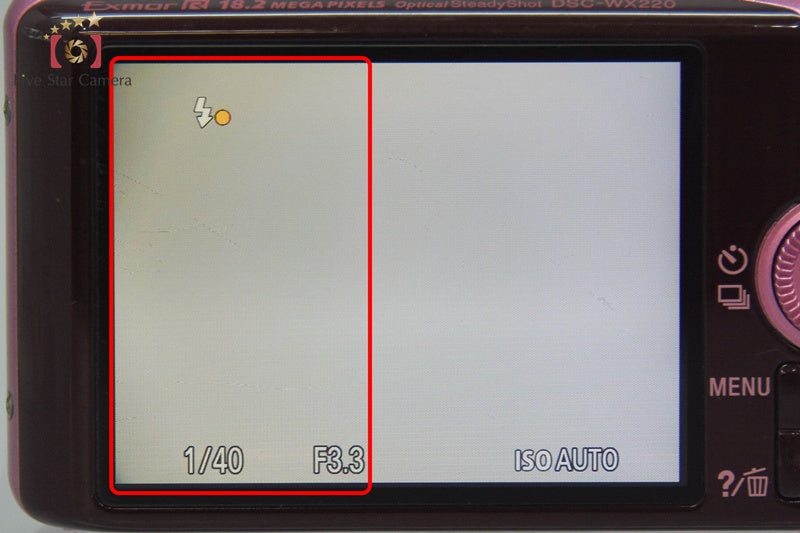 Sony Cyber-Shot DSC-WX220 Pink 18.2 MP Digital Camera [Multiple Languages]