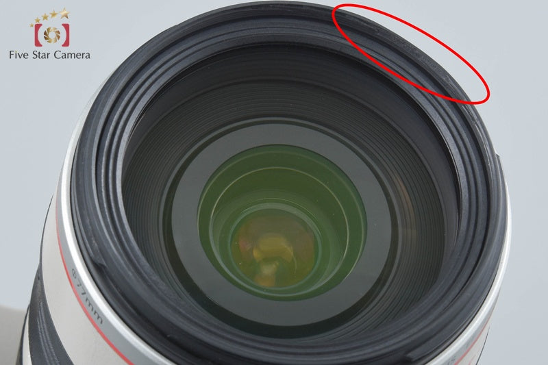 Canon EF 28-300mm f/3.5-5.6 L IS USM