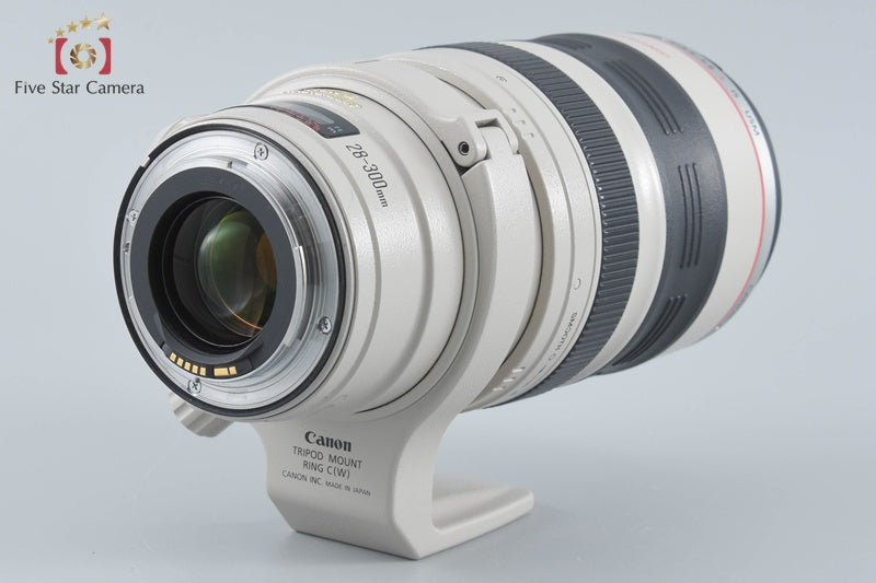 Canon EF 28-300mm f/3.5-5.6 L IS USM