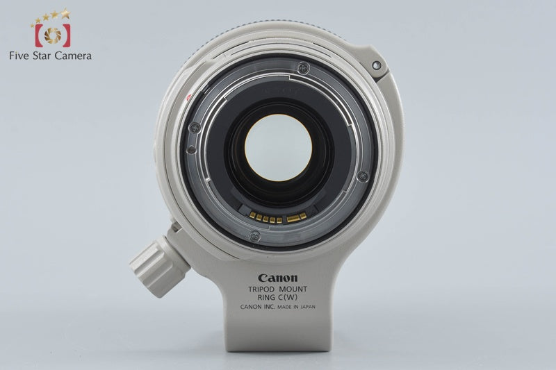 Canon EF 28-300mm f/3.5-5.6 L IS USM