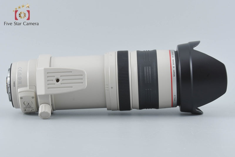Canon EF 28-300mm f/3.5-5.6 L IS USM