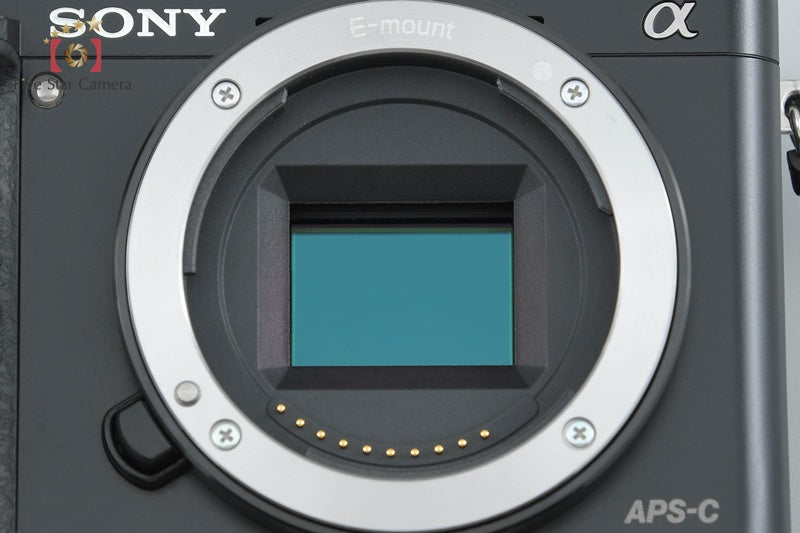 "Count 962" Sony α6000 ILCE-6000 Black 24.3 MP 16-50 Lens [Multiple Languages]