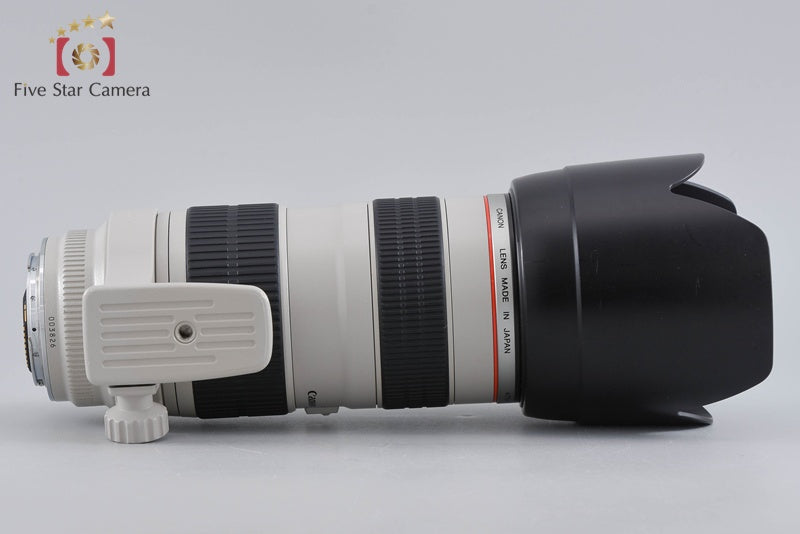 Canon EF 70-200mm f/2.8 L USM