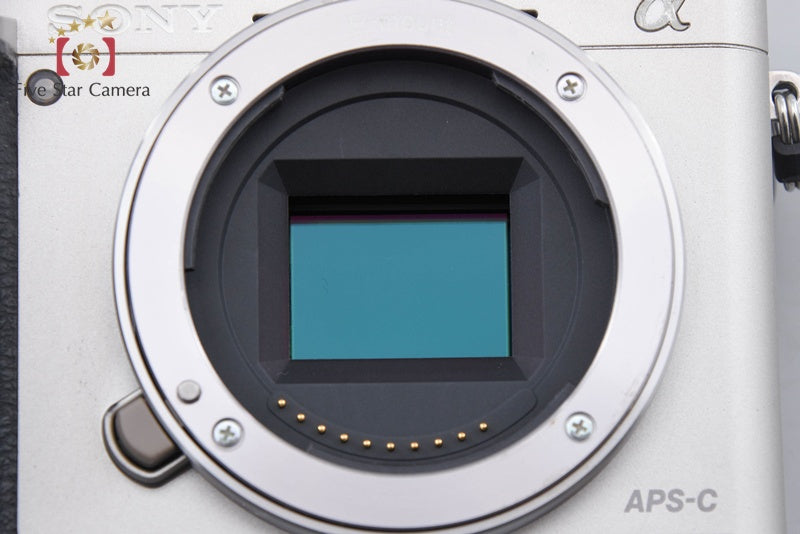 Sony Alpha α6000 ILCE-6000 Silver 24.3 MP 16-50 Lens [Multiple Languages]