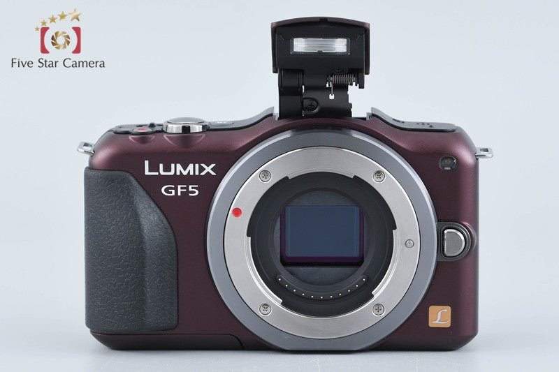 Panasonic LUMIX DMC-GF5 Brown 12.1 MP 14-42 Lens [Japanese Language Only]