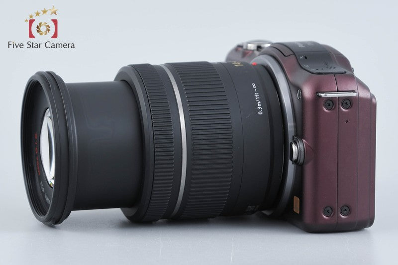 Panasonic LUMIX DMC-GF5 Brown 12.1 MP 14-42 Lens [Japanese Language Only]