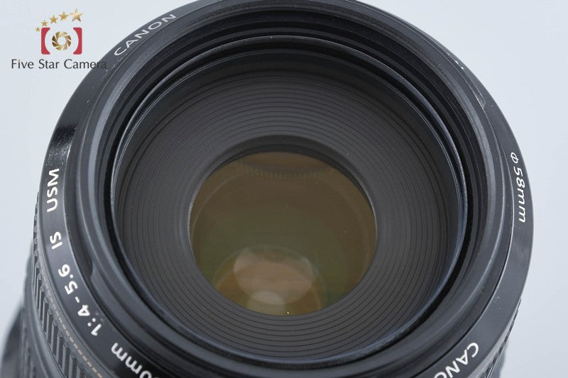 Canon EF 70-300mm f/4-5.6 IS USM