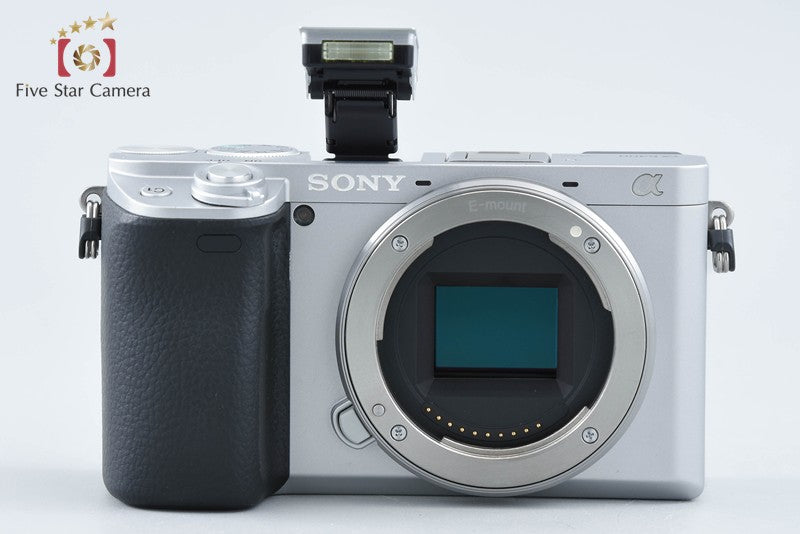 Sony Alpha α6400 ILCE-6400 Silver 24.2 MP 16-50 Lens [Multiple Languages]